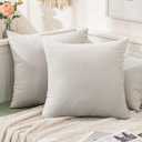 MIULEE Velvet Throw Pillow Covers 22x22 Inch, Pack of 2 - Greyish White, Soft Solid Decorative Pillow Covers Cushion Cases Modern Luxury Home Decor for Spring Couch Sofa Bedroom Livingroom
