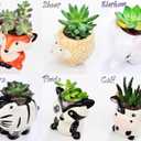Melphoe 6Pcs Air Plant Holders Cartoon Shaped Small Succulent Pot Animal Planter Small Ceramic Pot Drainage for Mini Plant Cactus Flower, Tillandsia Air Fern, Display Stand Home, Office Desktop