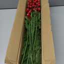 HyeFlora 15 PCS Norfolk Pine Stems with Red Berries Branches,19 Inch Christmas Real Touch Artificial DIY Pine Needles,Faux Cedar Pines Greenery Branches Picks for Vase for Wreaths Garlands Home Dcor