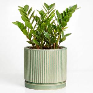 Ceramic Flower Pots, 10 Inch Plant Pot, Round Planter, Green