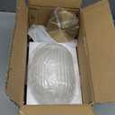 Brikey Brass Gold Pendant Light with Clear Glass, Ceiling Light for Bedside, Dining Table, Kitchen Island (7.8 Inch)