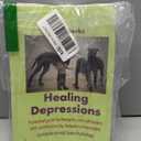 Healing Depressions