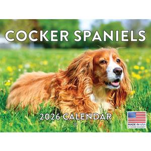 Cocker Spaniel Calendar 2026 Wall 12 Month Monthly Cocker Spaniels Gifts For Cocker Spaniel Lovers Women Men Mom Dad | American Made In The USA
