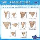 RattanView 20 Pcs Wooden Shark Teeth Nursery Wall Decor Shark Tooth Wall Art Baby Room Nursery Decor Megalodon Beach House Decoration for Boys Kids Room Bathroom Bedroom Lover Gift
