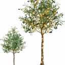 Artificial Olive Tree 5FT, Olive Trees Artificial Indoor with Realistic Branches & Olive Fruits, 63" Tall Faux Olive Tree in White Planter Basket, Fake Tree Indoor for Home Office Living Room Decor