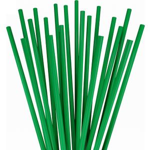 Disposable Tumbler Straws - 10 Inches Tall (Green)