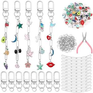 Tondiamo 286 Pcs Silver Keychain Making Kit Bulk Bag Charm Kit 120 Charms 20 Keychain Clips with Key Ring Swivel Snap Hook Lobster Claw Clasps 120 Jump Ring 25 Extender Chain Jewelry Plier DIY Craft