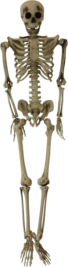 Haunted Hill Farm Life-Size Scary Skeleton Prop, Poseable, Battery-Operated Indoor or Covered Outdoor Halloween Decoration