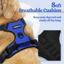 rabbitgoo Dog Harness No Pull with 2 Leash Clips, Adjustable Soft Padded, Reflective Oxford No Choke Pet Vest with Easy Control Handle for Large Dogs, Black, L