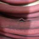 Rubber Air Hose,50-Feet x 3/8-Inch, 300 PSI, Red Heavy Duty Air Compressor Hose With Double 1/4" MNPT Brass Endings