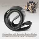VAINELY 3288689 8V Ribbed Belt Compatible with Cummins 4BT 3.9L 6BT 5.9L QSB ISB Engine Applications, Replacement Part for Excavators Loaders Trucks Ships and Other Equipment