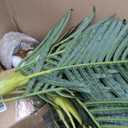 KOL 4ft 2-Pack Artificial Palm Tree Plant, 47in Fake Cane Areca Palm Silk Tree Indoor Outdoor,Dypsis Lutescens, Realistic Faux Silk Plants for Office Home Garden Decoration, Lifelike Modern Decor