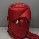 Coleman Palmetto Cool Weather Sleeping Bag