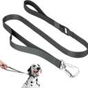 Nylon Dog Leash Heavy Duty But Lightweight w/Elastic and Emergency Two Handles, Easy to Hook, Dog Training Leash Walking Lead for Large Dogs (Space Gray, L)