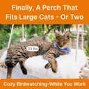 Large Cat Window Perch with Industrial-Grade Suction Cups - Solid Pine Wood Hammock Bed, Soft Cushion - 42 lb Capacity for Heavy Cats Inside