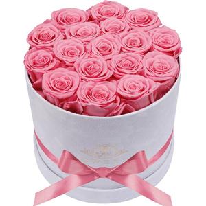 17 Forever Flowers in a Luxury Suede Box, Preserved Roses Birthday Gifts for Women, Romantic Anniversary Valentines Day Gifts for Girlfriend Wife Her, Pink