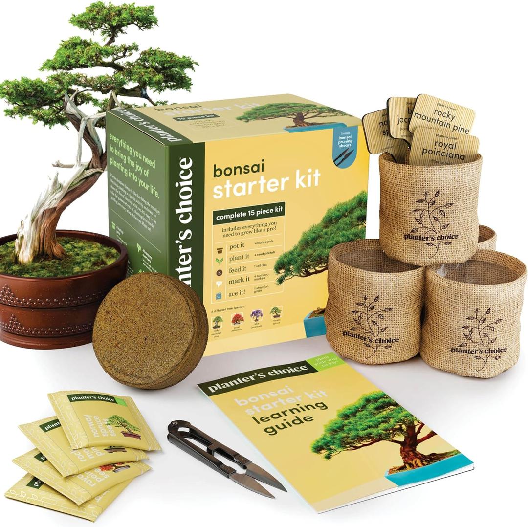 Bonsai Starter Kit - Gardening Easter Gift for Women & Men - Bonsai Tree Growing Garden Crafts Hobby Kits for Adults, Unique DIY Hobbies for Plant Lovers - Unusual Christmas Gifts Ideas