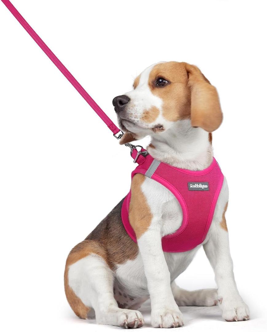 rabbitgoo Dog Harness Small Medium Sized and Leash Set, Step in Soft Light Puppy Vest, Breathable Mesh Pet Harness, Reflective for Safe Easy Walking, Rose Red L (L (Chest: 18.2 - 20.5"))