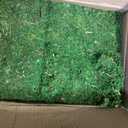 SuperMoss (23806) Mountain Moss – Natural Green Sphagnum Moss for Soil Top Dressing, Potting Mix, Garden Decor, and Craft Projects, 2,588 cu in, Preserved