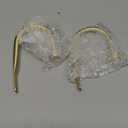 Premium Curtain Holdback, Quality Metal Decorative Curtain Holdbacks with Zinc Alloy Cap Finials,Rust-Proof, Set of 2 Window Curtain Holdbacks,Brass