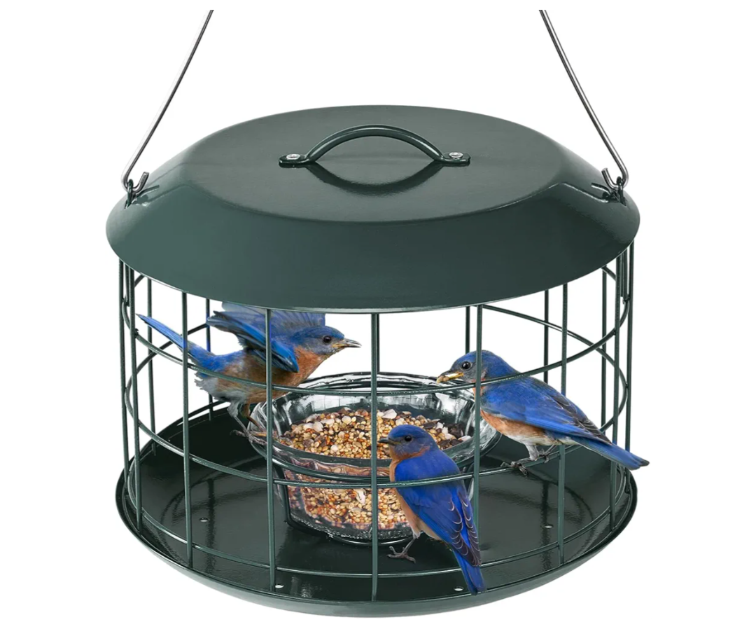 Kingsyard Bluebird Feeders for Outdoors Hanging, All Metal, Cage Bird Feeder with Tray, Squirrel Proof & Weatherproof, Easy to Refill & Clean (Green)
