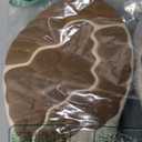 New Balance Women's Fresh Foam Arishi V4 Running Shoe (7, Summer Fog/Nimbus Cloud/Light Gold Metallic)