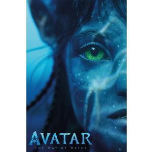 Avatar: The Way Of Water (2022) - Face One Sheet Wall Poster, 19L" x 13W", Premium Unframed Version