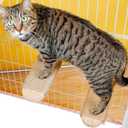 Cat Climbing Steps Scratching Tree  2pcs Scratching Steps Sisal Hemp Cage Shelf Ladder Pets Perch Furniture Inside The cage with Install Screws (L)