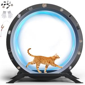 GTRACING Cat Wheels, 40" Diameter, Large Cat Exercise Wheel for Indoor Cats cat Treadmill Metal with Detachable Carpet & Teaser/Stickers, Ultra-Quiet Scroll Wheel with Latch, Safe and Stable, Grey
