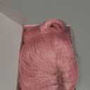 Light Pink Wig for Women Short Pastel Wavy Wigs Curly Bob Wigs with Bangs Shoulder Length Colorful Synthetic Wigs for Cosplay Costume Party Daily Use(14 Inches)