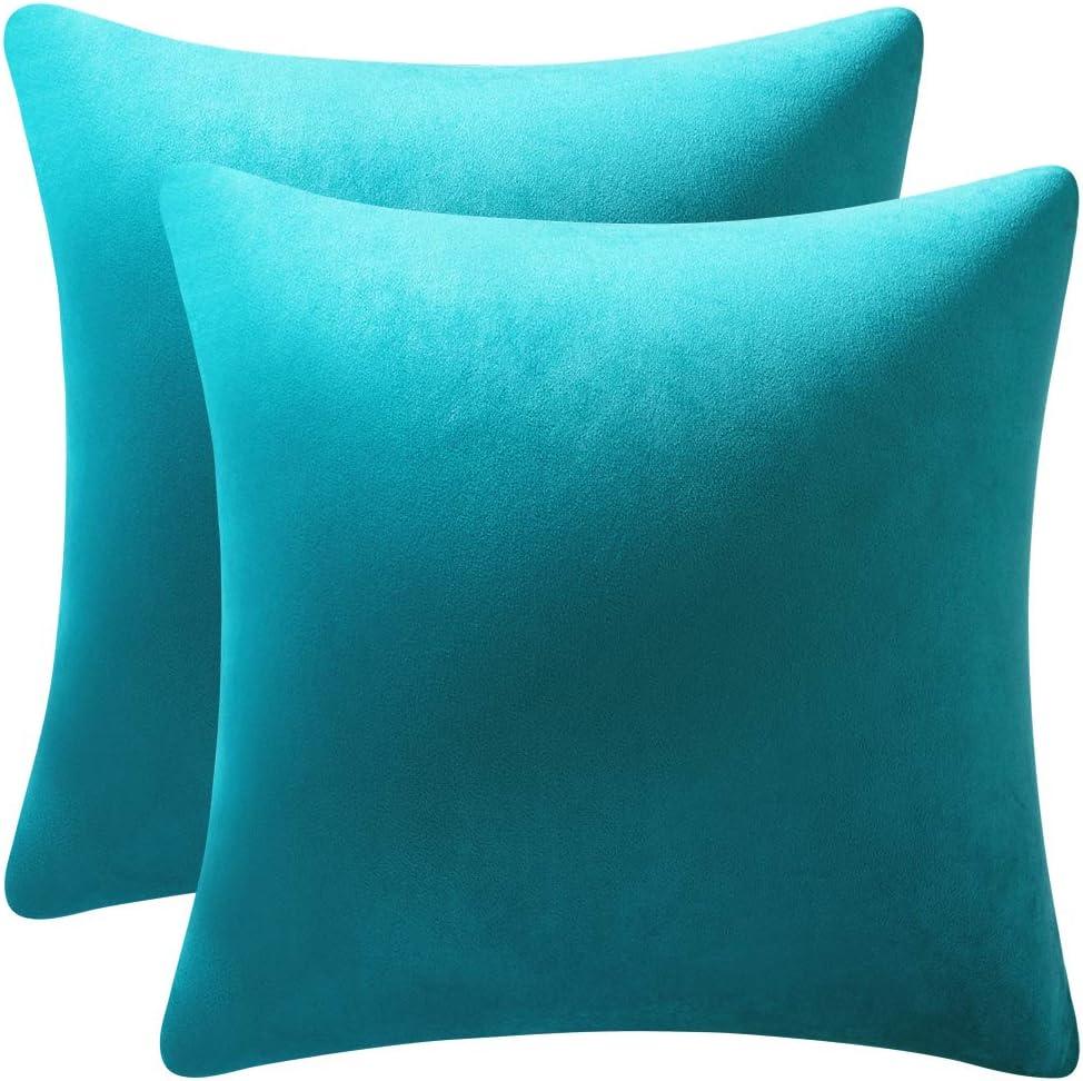 DEZENE Throw Pillow Cases 16x16 Turquoise: 2 Pack Cozy Soft Velvet Square Decorative Pillow Covers for Farmhouse Home Decor