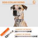 Reflective Dog Collar, Personalized Dog Collars with QR Code Buckle, Soft Nylon Pet Collar Adjustable for Large Dogs, Camo Gray L