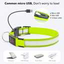 PZRLit LED Light Up Dog Collars Micro USB Rechargeable Waterproof, Full Adjustable Lighted Glow Dark Dog Collar Light for Night Walking for Small Medium Large Dogs, Green