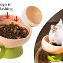 Raised Cat Food Bowl Neck and Whisker Friendly Tulip Shape Elevated Design Ceramic Color Pink