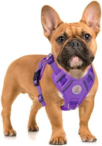 Hipubby Dog Harness Small Sized Dog, No Pull Pet Harness with 2 Metal Rings and Control Handle, Adjustable Soft Dog Vest with Reflective Strips, Easy Walking and Training for Small Dogs, Purple, XS