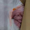 VETHIN Bed Canopy Princess for Girls,Bed Canopy Curtain Double Layer Sheer Mesh Dome Bed Curtain- Round Lace Princess Mosquito Net Tent for Twin Full Queen King Bed(Pink/White)