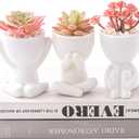 HEYO-YEPY 3PCS Cute Artificial Plant Office Decor for Women and Men, Aesthetic Desk Plant Decor for Office and Home, Potted Small Fake Plants for Indoor Decoration, White Pots Pink Plants