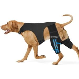 size XL Marnonsis Dog Leg Braces for Back Leg, Adjustable Dog Knee Brace for Torn Acl Hind Leg with 4 Stabilizers, Hip Support to Reduces Pain, Ligament Injuries & Luxating Patella for Small Medium Large Dogs
