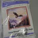 Findvoor Stamped Cross Stitch Kits for Beginners Full Range of Cross Stitching Embroidery Pattern for Adults, 11CT DIY Needlepoint Embroidery Starter Kits-Flying Eagle 17.7x17.7 inch