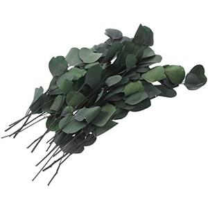 LIFKICH Real Eucalyptus Leaves Decor Faux Greenery Eucalyptus Stems Dried Leaves for Home Flower Arrangement
