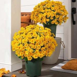 Artificial Sunset Mums, Funsdecor Mums, Artificial Outdoor Sunset Flowers - UV Resistant,Waterproof, Windproof, Fake Fall Flower Daisy with Eucalyptus, Look Real, Full, Vibrant (5 Bundle Yellow)