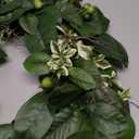 Artificial Greenery Wreath for Front Door