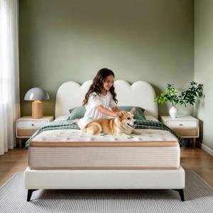 Twin Size Mattress,12 Inch Hybrid Mattress with Memory Foam & Individual Pocket Springs Bed in a Box, Pressure Relief, Fiberglass Free & Medium Firm, 365-Night Trial & CertiPUR-US, 75"x39"x12"