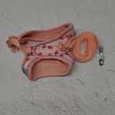 Step in Dog Harness and Leash Set, Flower Adjustable Easy Walk Puppy Harnesses, Soft Mesh No Pull Pet Vest Harness for Small Medium Dogs(Strawberry, M)