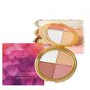 Eye & Cheek Palette - Eyeshadow and Highlighter Makeup, Multifunctional Makeup Palettes Contour Kit, Shimmer Glow Face Highlighter Palette for Women, Natural Glow Contour Powder