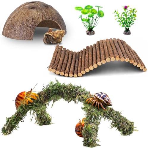 Hermit Crab Accessories, Hermit Crab Shells Natural Coconut Moss Climbing Bridge Toys Decor for Reptile Amphibians Tank Supplies