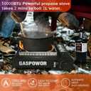 Propane or Butane Stove with Windblocker, 10,000 BTU Dual Fuel Propane Stove for Camping, Automatic Ignition Gas Portable Stove with Propane Adapter Hose Carrying Case for Outdoor (Fuel Not Included)