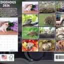 Hedgehog Calendar 2026 Monthly Wall Calender 12 Month | American Made In The USA