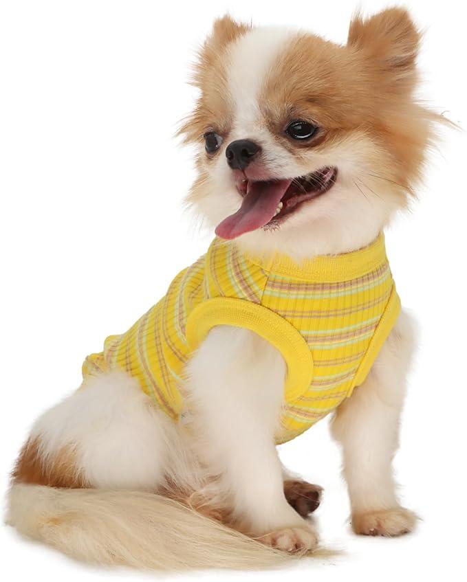 LOPHIPETS 100% Cotton Rib Dog Tank Top Vest - Stretchy Breathable Soft Pet Apparel for Small Breeds Chihuahua Yorkie - Indoor Outdoor Casual Wear (Yellow, Small | 2.2-4.5 lbs)