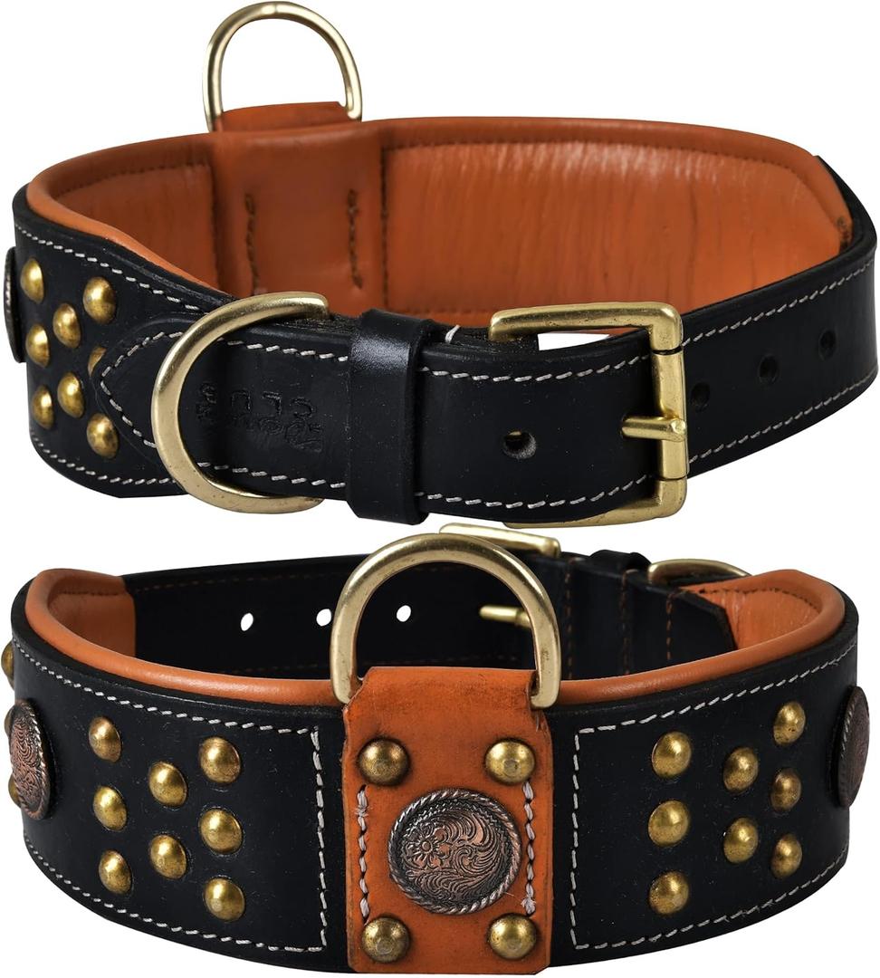 Premium Leather Cupola Series Collar for Large Dogs | Celtic Conchos & Gold Dome Rivets | 2 Inch Wide | Soft, Heavy Duty, Cushion Padding | (L (Neck Size 18.5"-22.5"), Sable Black)